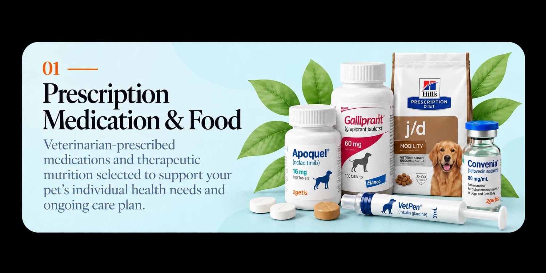 Prescription Medication & Food — veterinarian-prescribed medications and therapeutic nutrition.