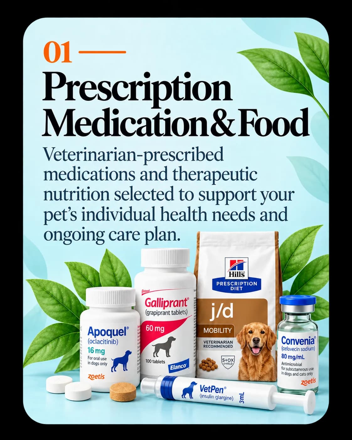 Prescription Medication & Food — veterinarian-prescribed medications and therapeutic nutrition.