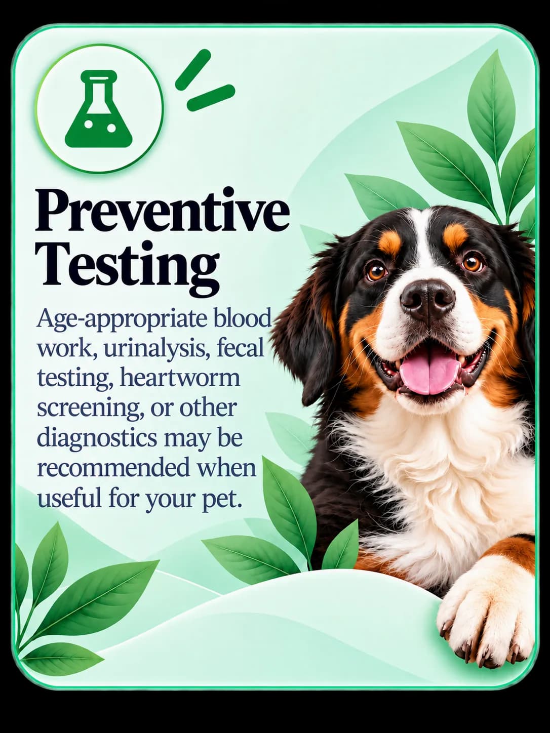 Preventive Testing
