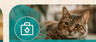 Sick Pet & Medical Care
